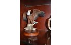Property photo 64 - Complete Liquidation Sale! - Dekalb Distributing Auction